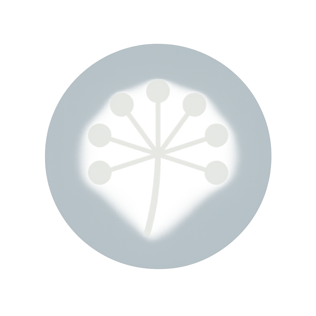 Scroll to Top